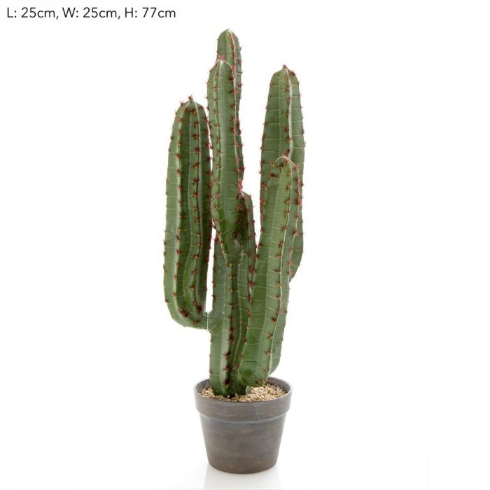 Desert Cactus 82cm-abc