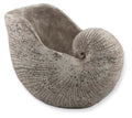 Cement Shell Planter-abc
