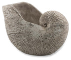 Cement Shell Planter-abc
