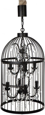 Macaw Chandelier - 8 Arm-abc