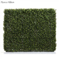 Boxwood Hedge 75x100cm-abc