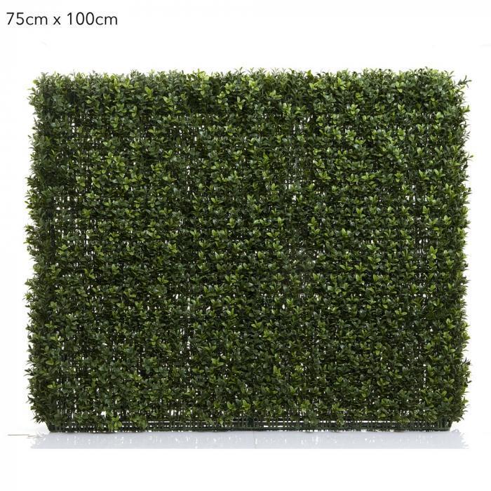 Boxwood Hedge 75x100cm-abc