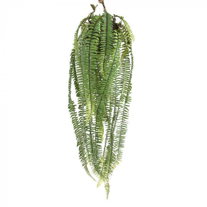 Large Hanging Fern Green-abc