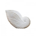Marble Conch Shell Med-abc