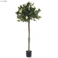 Rose Topiary 1.4m Light White-abc