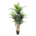 Areca Palm Real Touch 1.9m-abc
