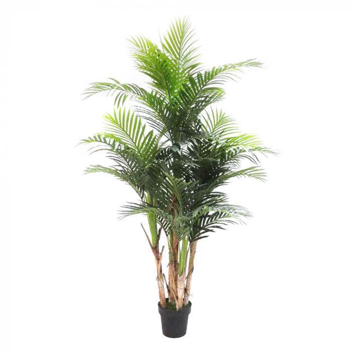 Areca Palm Real Touch 1.9m-abc
