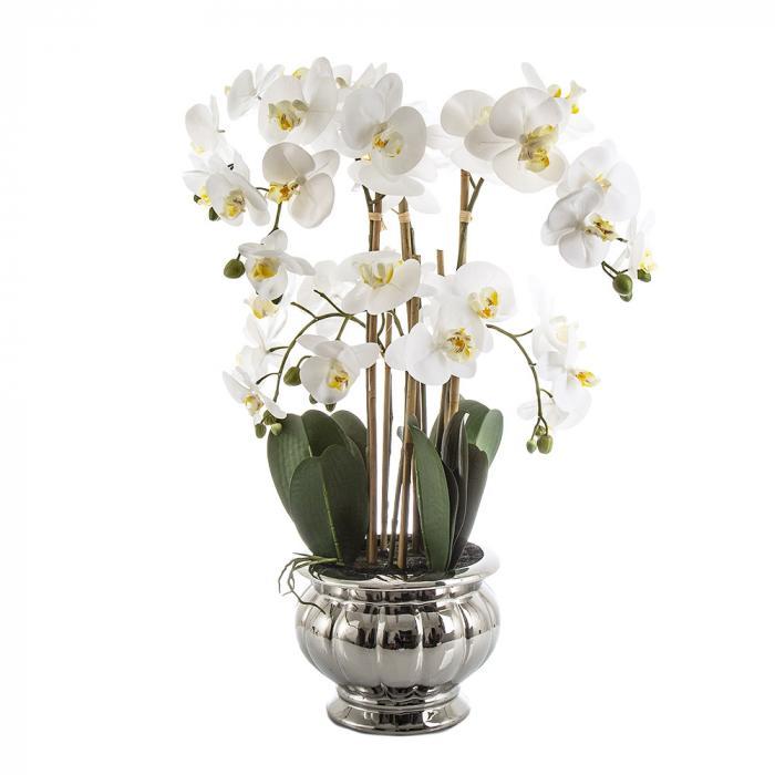 Potted Orchid in Silver Bowl Lge White-abc