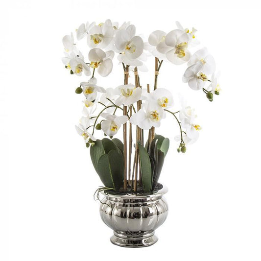 Potted Orchid in Silver Bowl Lge White-abc