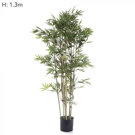 Japanese Bamboo Tree x9 1.2m 1440Lvs-abc
