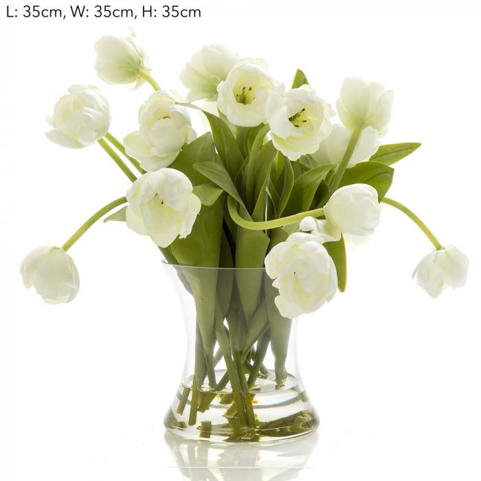 Tulip in Water in Glass Vase White-abc