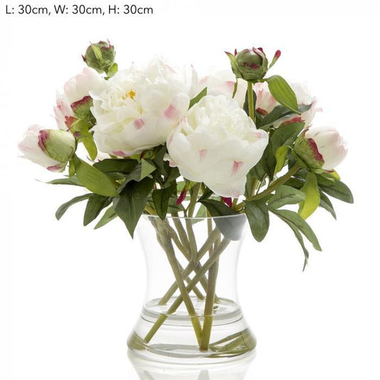 Peony in Water in Glass Vase White-abc