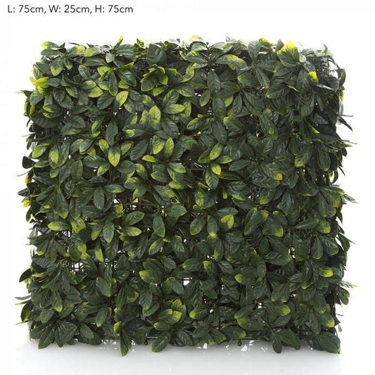 Garden Hedge 75x25x75-abc