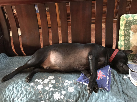 new product without variant 0818-abc