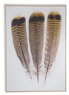 Three Feathers on Stretched Canvas Wall Art-abc