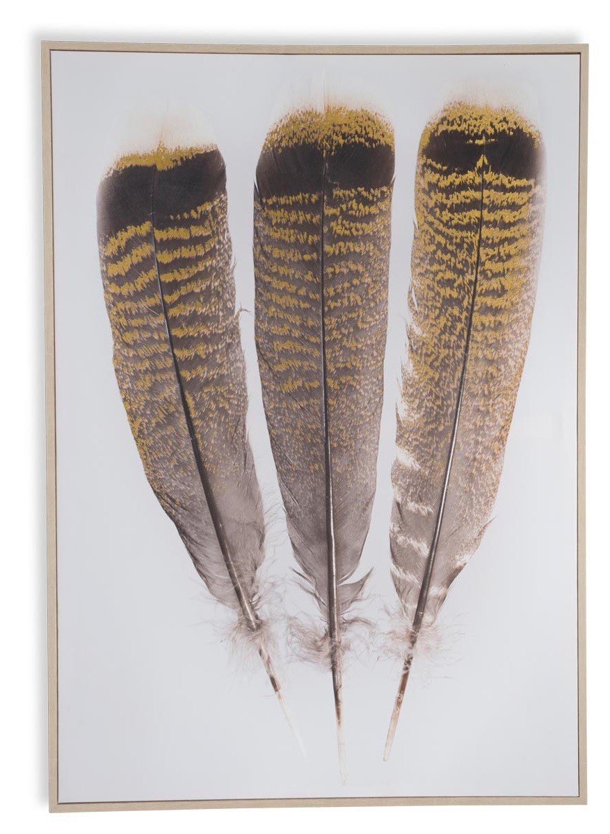 Three Feathers on Stretched Canvas Wall Art-abc