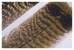 Three Feathers on Stretched Canvas Wall Art-abc