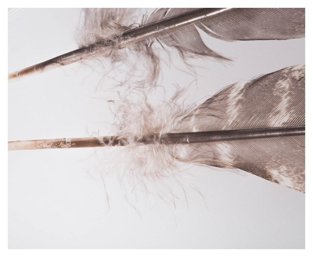 Three Feathers on Stretched Canvas Wall Art-abc