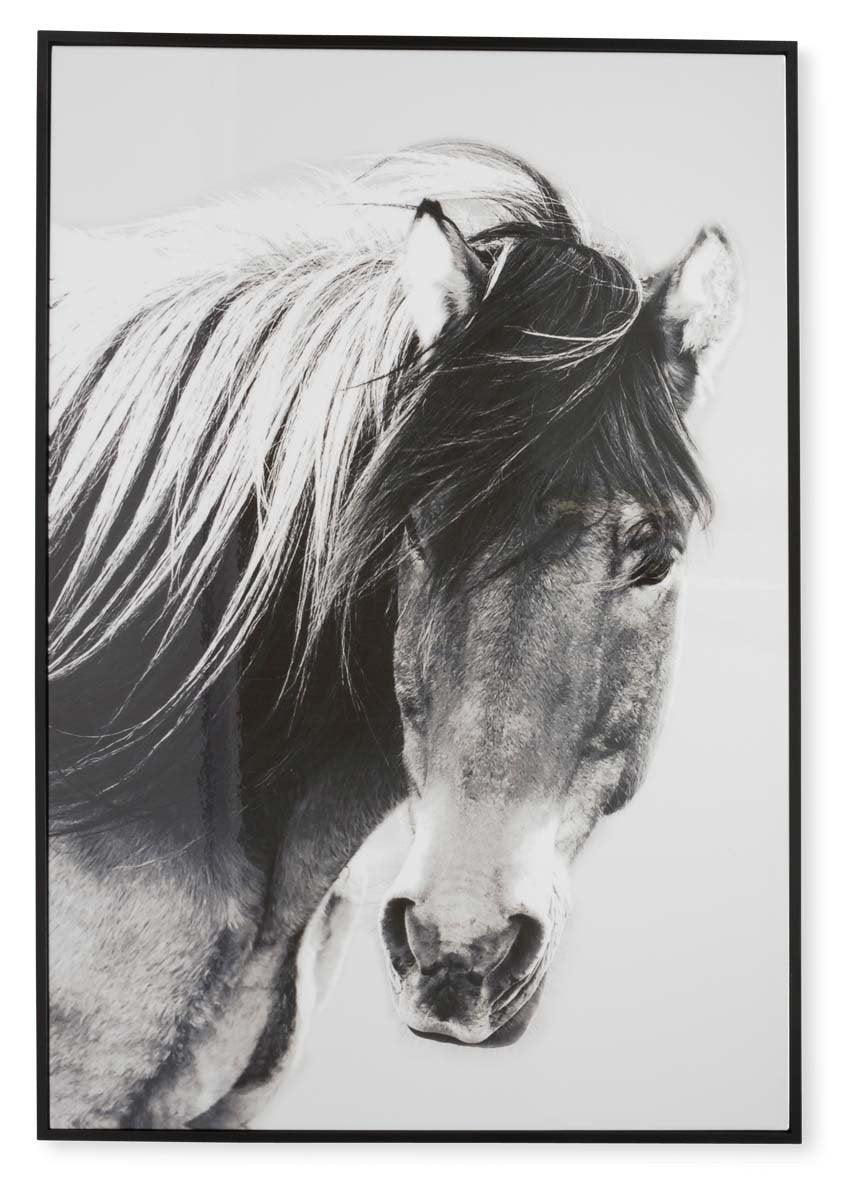 Wild Brumby Wall Art-abc