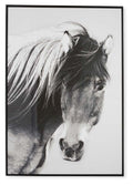 Wild Brumby Wall Art-abc