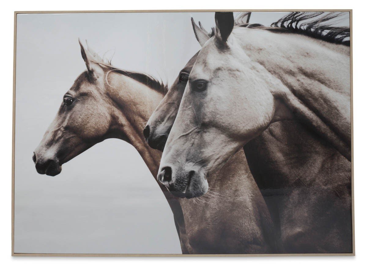 Wild Horses Wall Art-abc