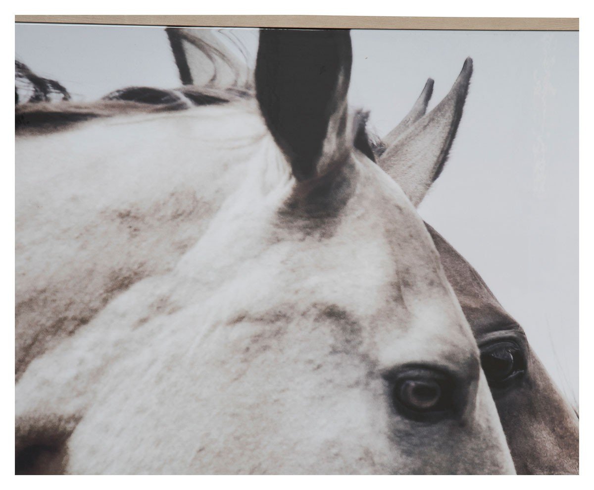 Wild Horses Wall Art-abc