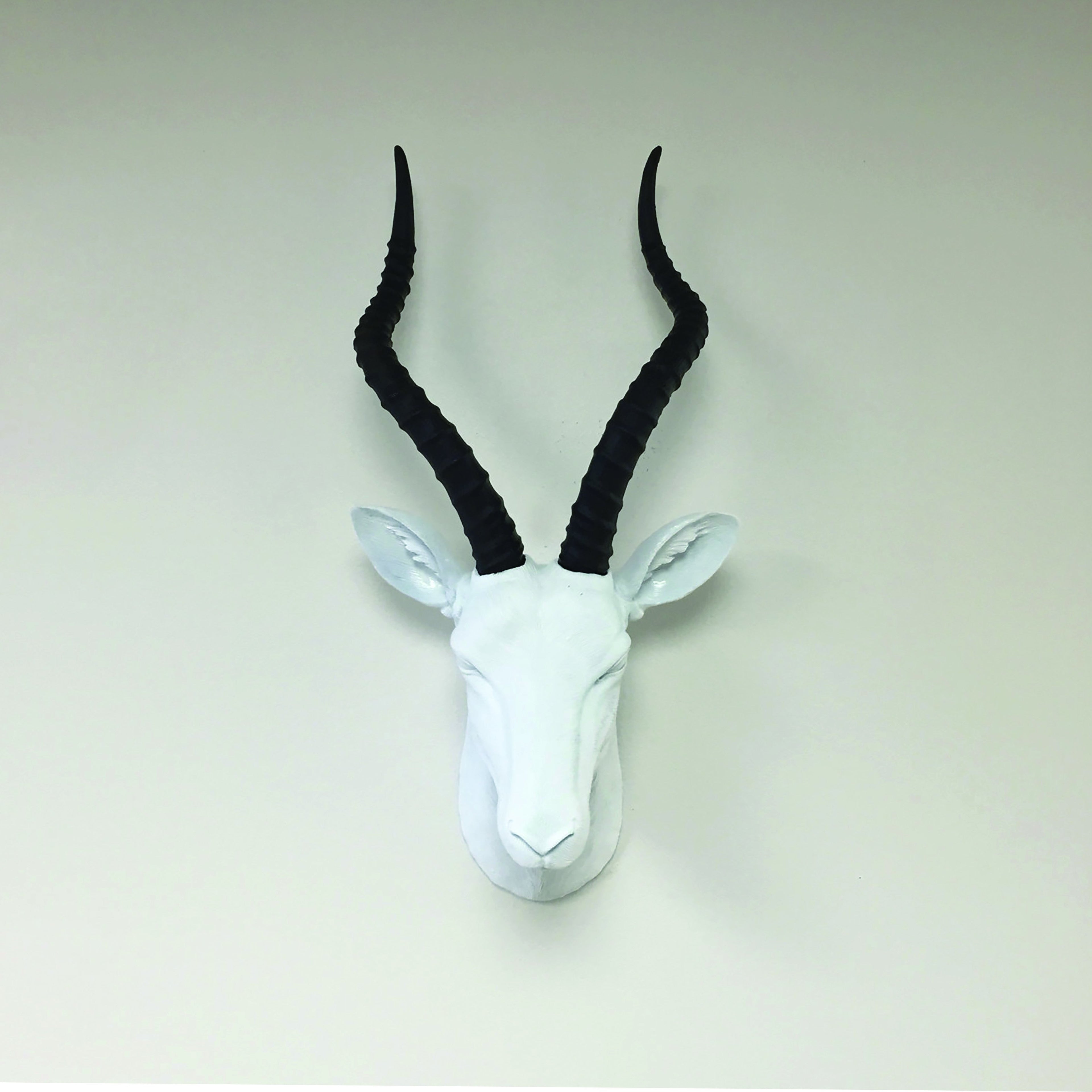 Poster Antelope Head-abc