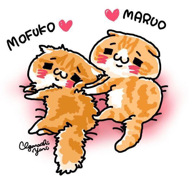 Adoring Band no compare-abc