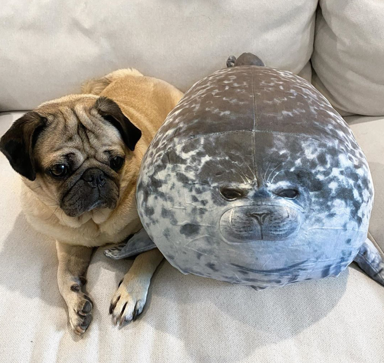 brand new product 0914 with variants-abc