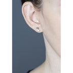 FELIX STUDS-abc
